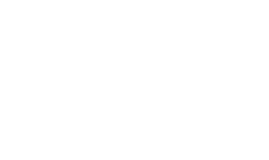 NEW PISE logo final wh